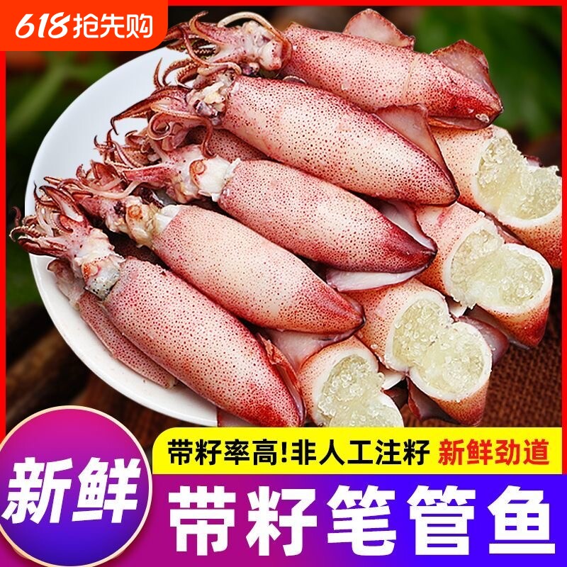 满籽籽乌海兔子新鲜海兔鲜活带籽笔管鱼大乌贼籽乌鱿鱼海鲜水产