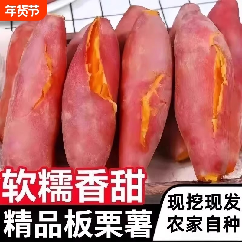 新鲜红心番薯粉糯香甜可口板栗蜜薯现挖现发农家自种地瓜沙地红薯