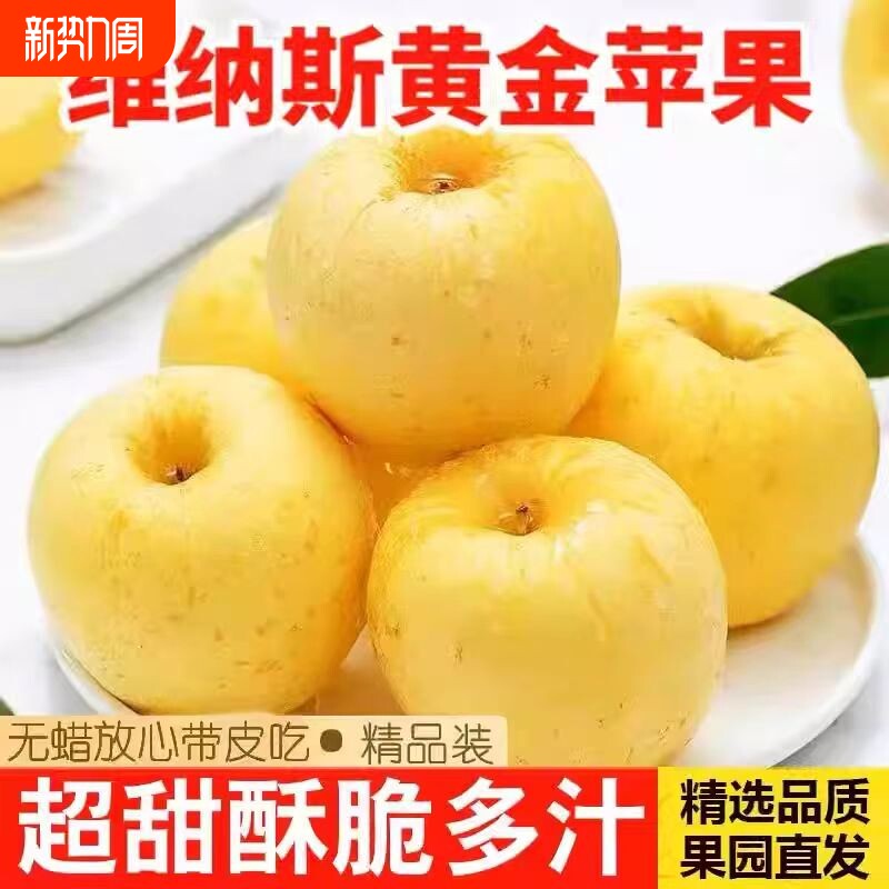 正宗山东烟台黄金维纳斯苹果2025当季新鲜采摘园生鲜整箱年货节