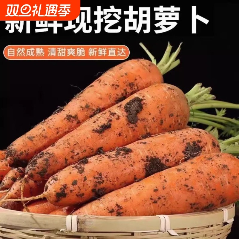 新鲜带泥胡萝卜蔬菜水果现挖生吃脆甜红心萝卜农家自种当季