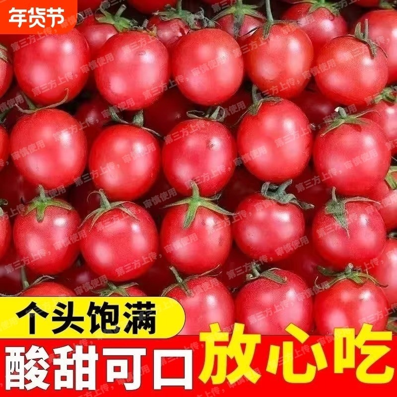 正宗广西千禧果圣女果小番茄樱桃小西红柿现摘新鲜生吃应季水果