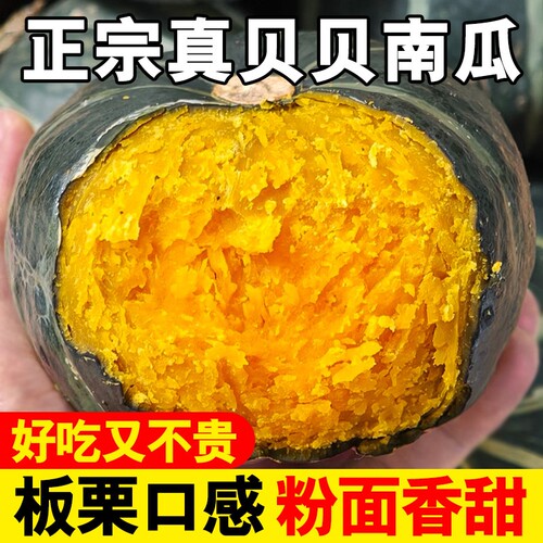 正宗贝贝南瓜新鲜当季小南瓜