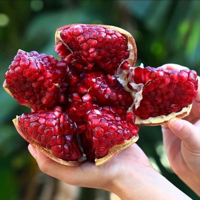 软籽石榴5斤当季现摘整箱水晶软籽石榴新鲜水果红石榴香甜多汁