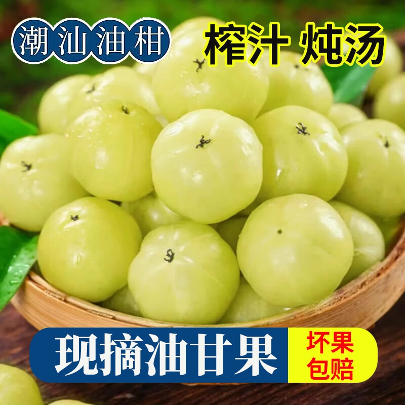 潮州高山油柑当季水果甘甜生津