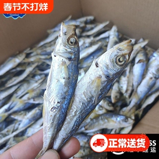 探味岛福建东山岛特产小鱼干巴浪鱼干渔家自晒淡干无盐鲜甜下酒菜