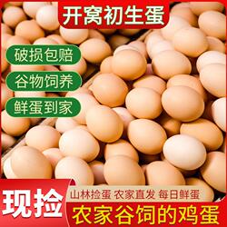 云依禾农庄正宗农家散养土鸡蛋鲜鸡蛋月子蛋初生蛋谷物蛋新鲜五谷