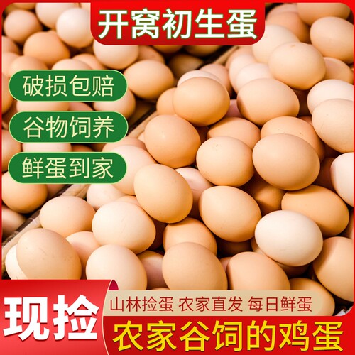云依禾农庄正宗农家散养土鸡蛋鲜鸡蛋月子蛋初生蛋谷物蛋新鲜送达