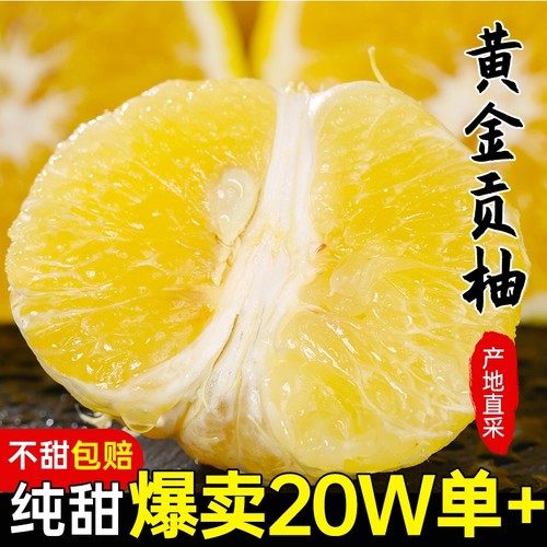 一级怀化洪江黄金贡柚春香桔柚象山青新鲜甜柚湖南雪峰山10斤大果