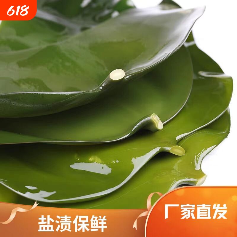 盐渍海带头海带丝整颗海带新鲜大昆布火锅食材凉拌菜包饭非干货