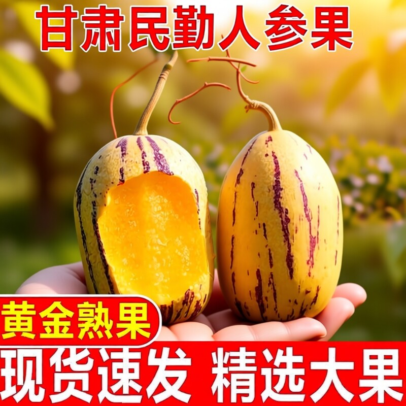 沙漠水果甘肃民勤人参果黄肉大果人生果低糖应季树上熟老年人新鲜