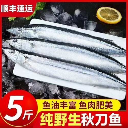 秋刀鱼新鲜野生深海鱼日式鲜活冷冻海鲜烧烤整箱食材批发水产鱼肉