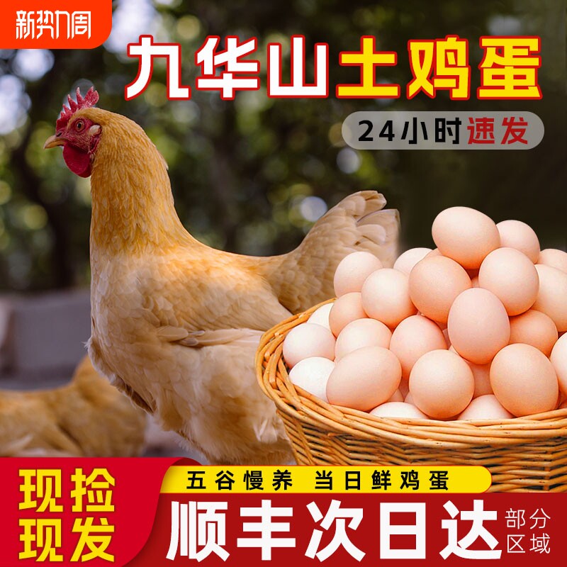 顺丰包邮正宗九华山土鸡蛋100枚整箱批发农家新鲜鸡蛋次日配送