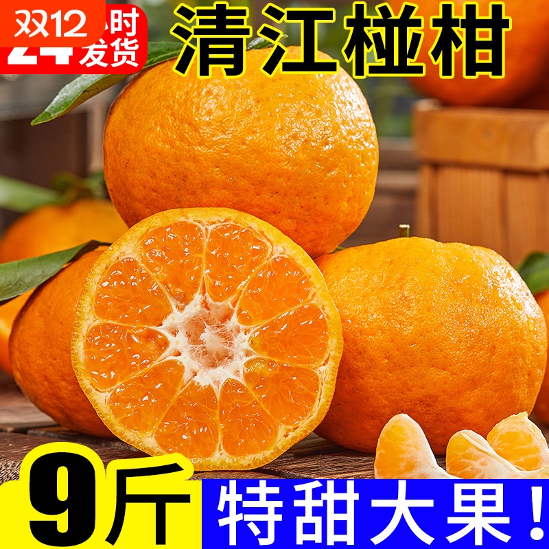 清江椪柑9斤大果特甜多汁