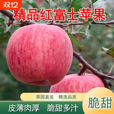 正宗条纹红富士苹果新鲜水果晚熟红富士脆甜多汁皮薄肉厚