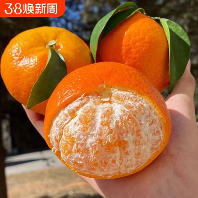 正宗云南爆甜沃柑当季新鲜现摘大果柑橘沙糖蜜桔子整箱广西武鸣县