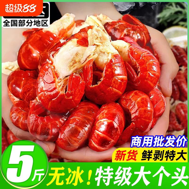 特大龙虾尾新鲜冷冻小龙虾尾鲜活速冻虾球特级无冰整箱批发水产