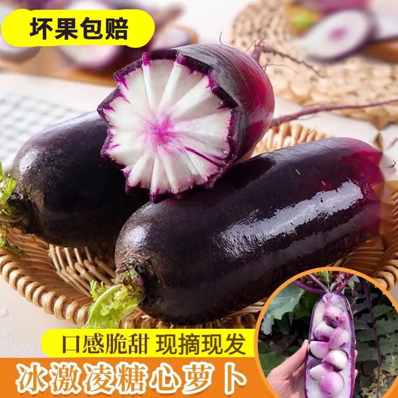 潍坊冰激凌水果萝卜紫皮萝卜冰淇淋产地直发生吃不辣脆甜水果蔬菜