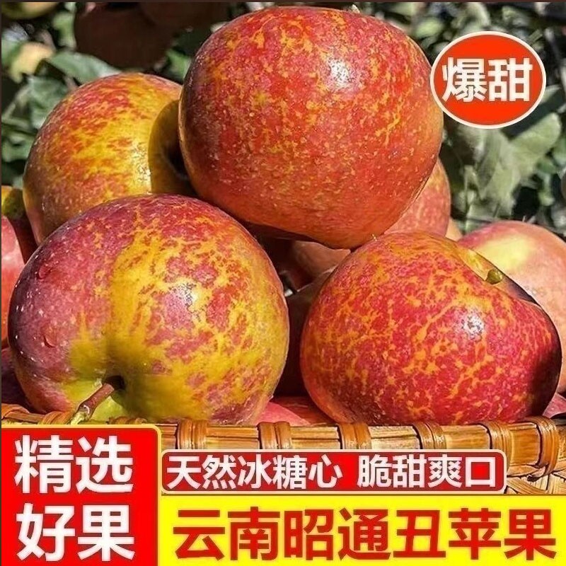 正宗云南昭通冰糖心丑苹果脆甜多汁新鲜当季水果果园现摘产地直发