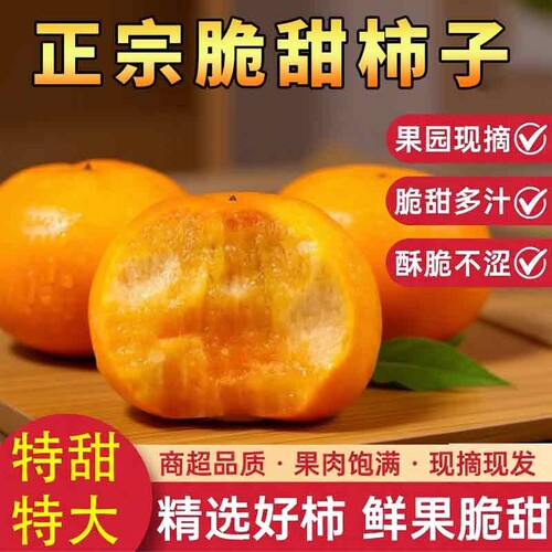 脆柿子大果巧克力冰糖心鲜果