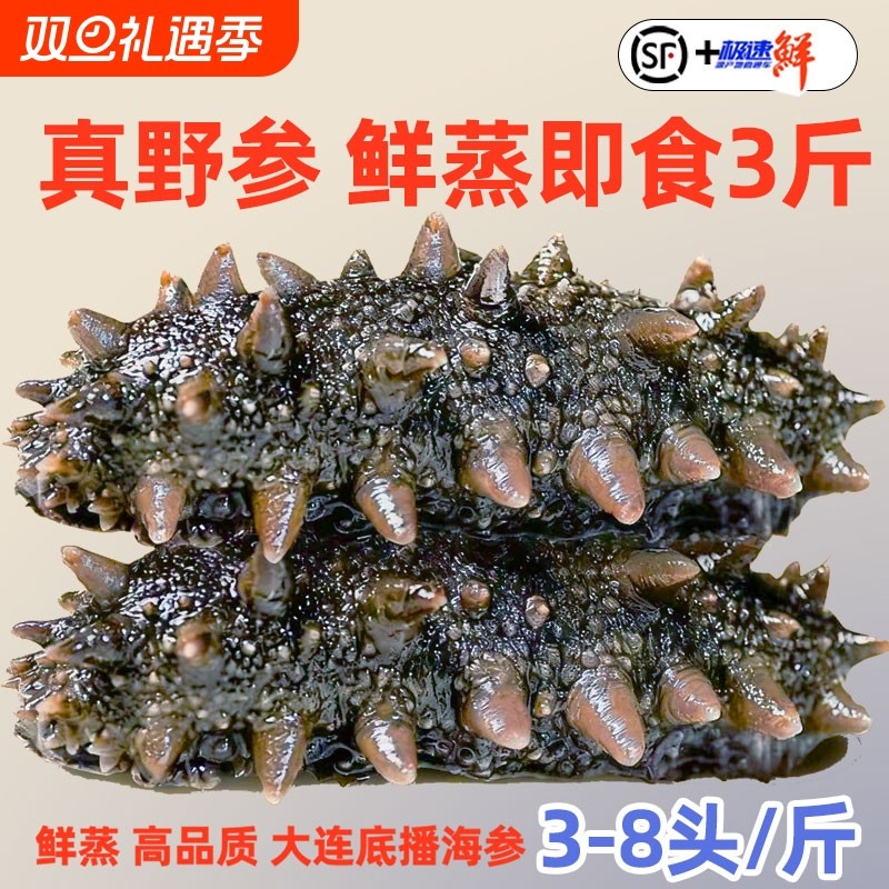 新鲜即食海参刺参大连长岛辽参500g鲜活渗干货大连礼盒水产冷冻