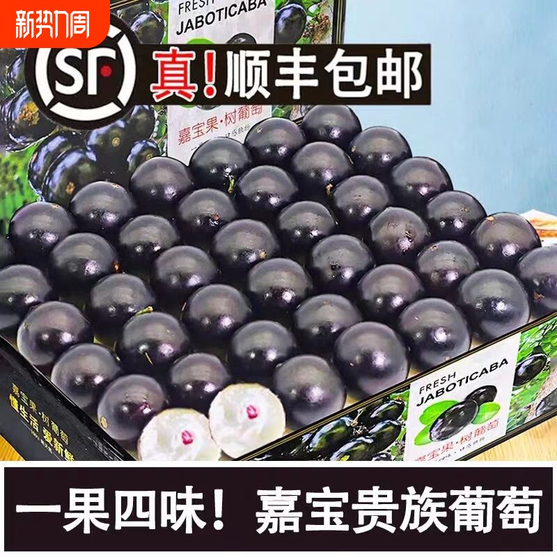 顺丰包邮嘉宝果树葡萄5斤新鲜水果当季提子大果整箱孕妇包邮礼盒