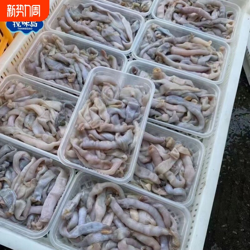 探味岛【顺丰包邮】福建东山岛新鲜活冻沙虫鲜活沙蚕去肚去沙海肠