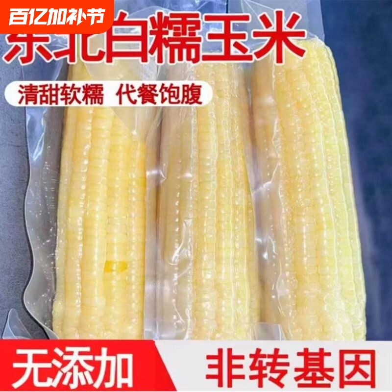 东北 新鲜白糯玉米10支低脂代餐真空包装粗粮代餐
