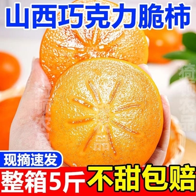 正宗巧克力脆柿子冰糖心青黄硬柿子特大果生吃甜柿子新鲜水果阳丰