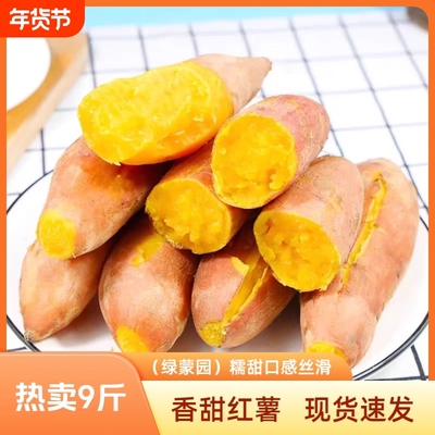 河南龙九红薯新鲜番薯开封蜜薯农家大果沙地糖心山芋地瓜软糯香甜