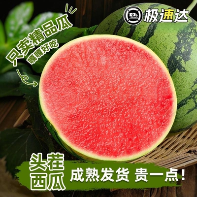 正宗麒麟西瓜脆甜多汁现摘现发