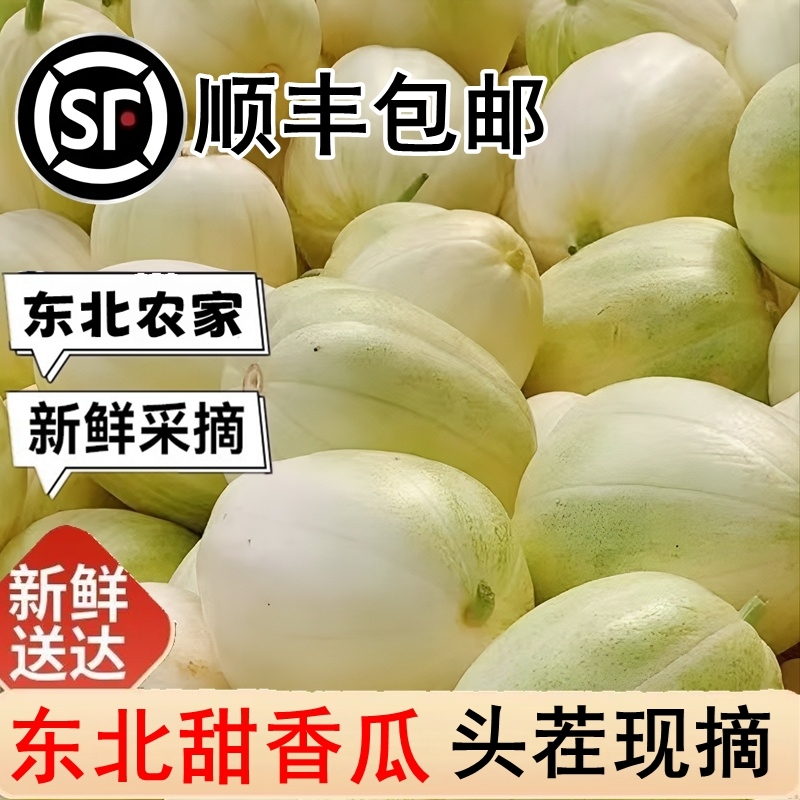 正宗东北农家香瓜甜瓜白糖罐脆甜多汁新鲜当季现摘水果自然熟顺丰