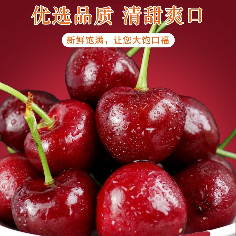 正宗智利进口车厘子3J大果新鲜水果大樱桃送礼原箱当季水果整箱,水产肉类/新鲜蔬果/熟食,车厘子/樱桃,淘宝优惠券,粉丝福利购,淘宝优惠卷