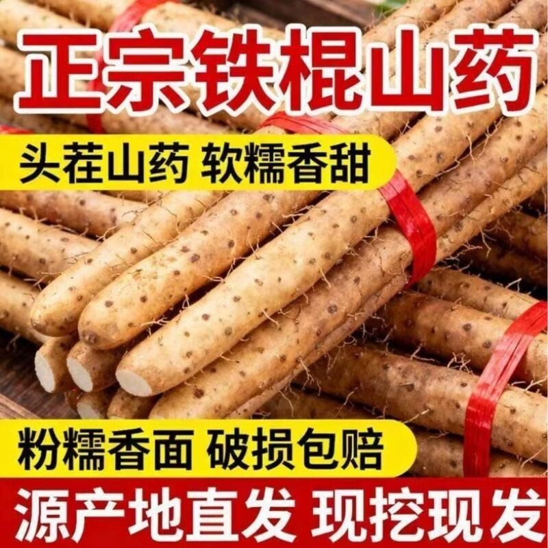 正宗小白嘴山药铁棍山药新鲜现挖山药老少皆宜宝宝辅食5斤装