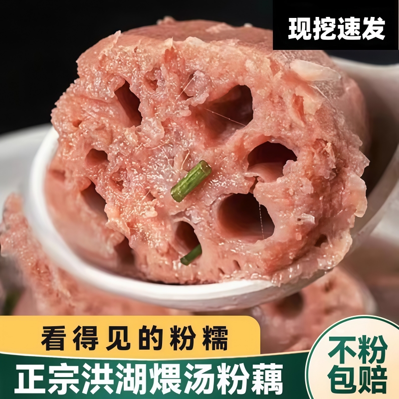 洪湖粉藕新鲜煲汤莲藕粉糯排骨汤糯米藕湖北粉藕现挖粉藕带泥九孔