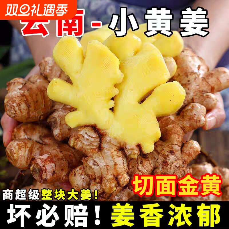 现挖云南小黄姜生姜批发正宗老姜头月子姜新鲜蔬菜整箱姜母姜块