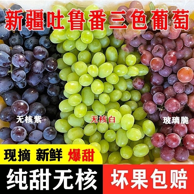 新疆吐鲁番三色葡萄无核白无核紫玻璃翠无籽提子超甜多汁孕妇水果