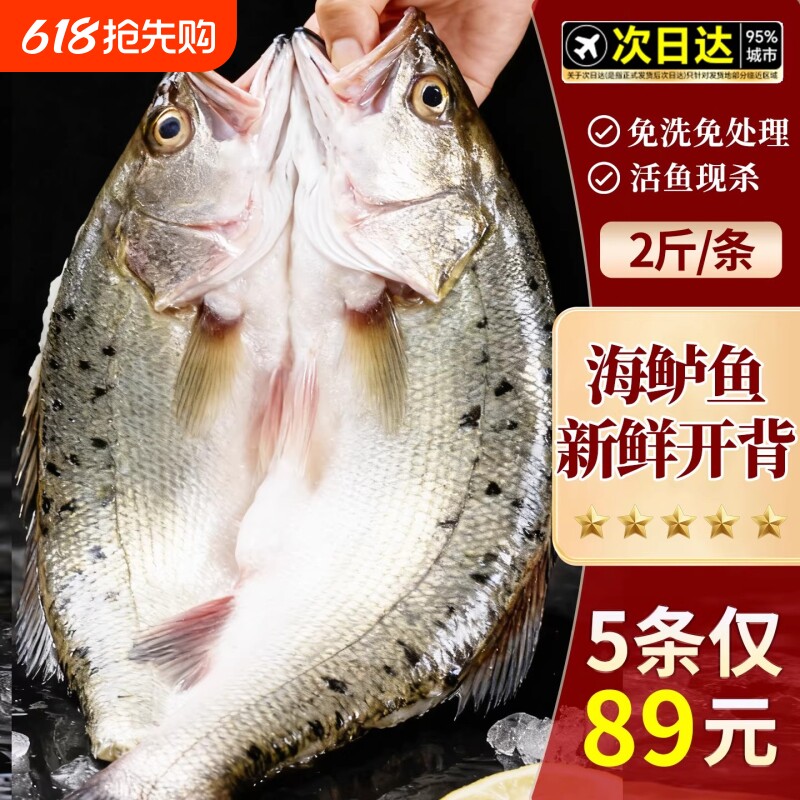 海鲈鱼开背海鱼新鲜冷冻鲜活深海白蕉七星特大烤鱼半成品商用清蒸