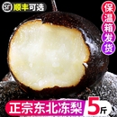 正宗东北冻梨特产梨子花盖梨冻秋梨大黑梨苹果梨新鲜水果整箱 包邮