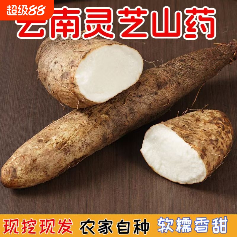 云南灵芝山药营养养胃软糯产地直供全天然绿色健康纯天然蔬菜当季