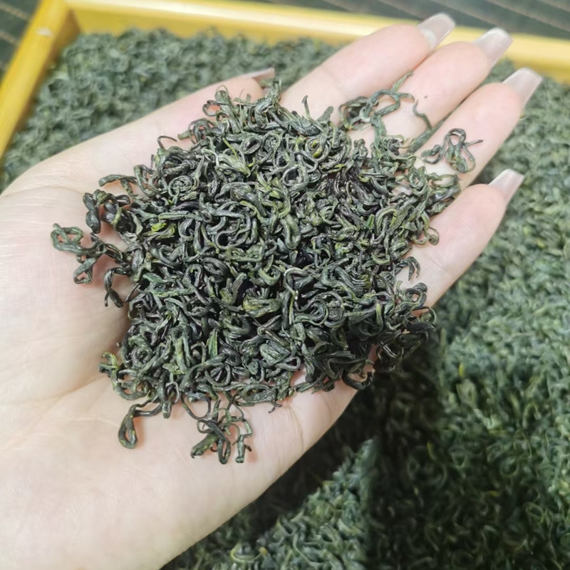 蒙顶山浓香耐泡口粮茶