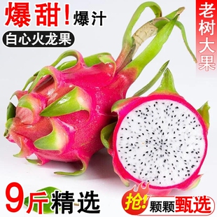 越南火龙果白心当季水果新鲜整箱甜红蜜宝心金都9斤现摘鲜果精品