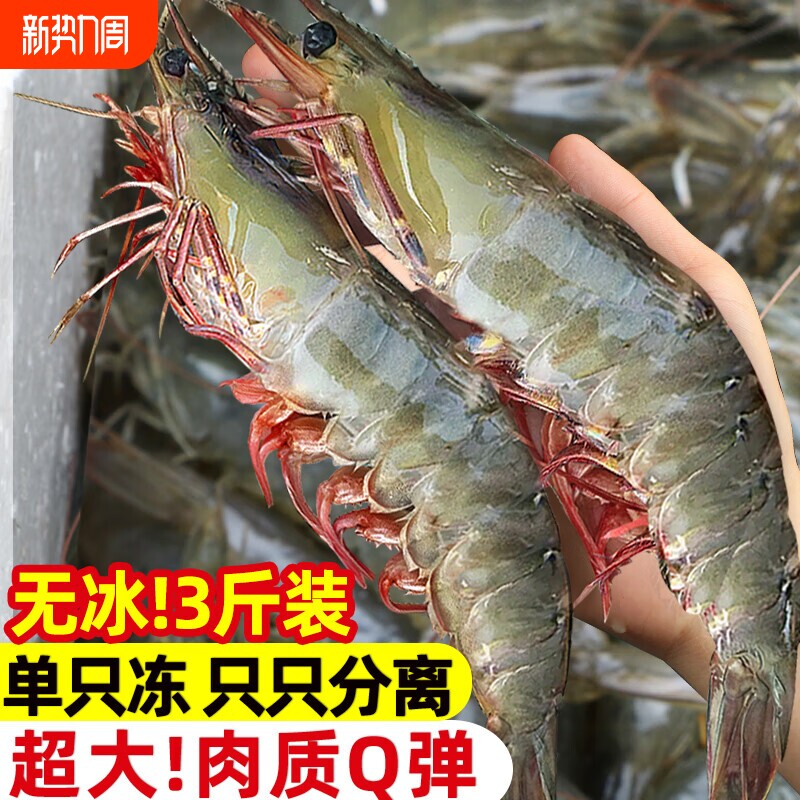 大虾鲜活冷冻特大号速冻青岛海鲜生鲜冻虾白虾王牌新鲜水产基围虾