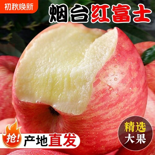 红富士大苹果8.5斤箱|399人收藏