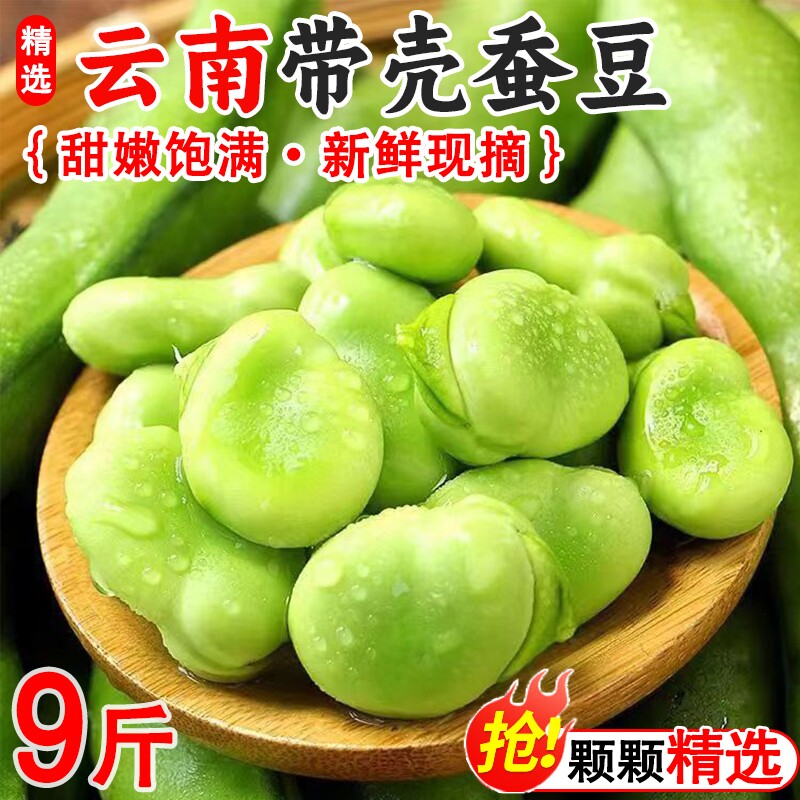 云南带壳蚕豆胡豆新鲜现摘当季农家蔬菜毛豆青罗汉豆兰花佛南豆