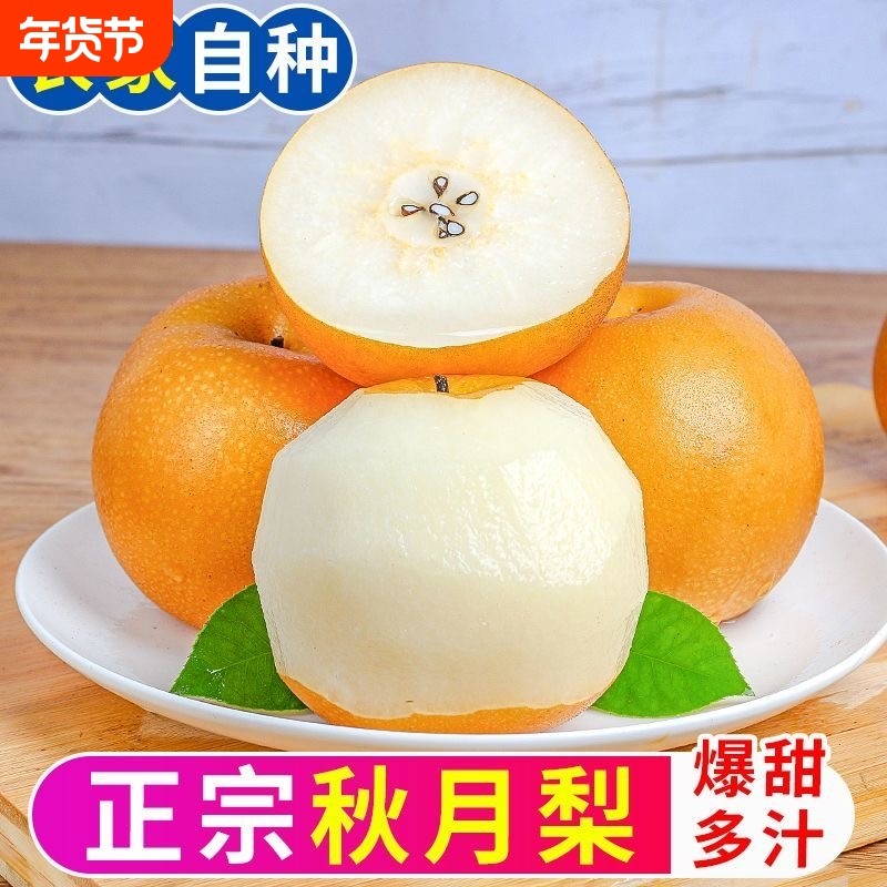 正宗烟台莱阳秋月梨当季羊脂梨子4.5新鲜整箱山东新鲜当季水果,水产肉类/新鲜蔬果/熟食,梨,淘宝优惠券,粉丝福利购,淘宝优惠卷