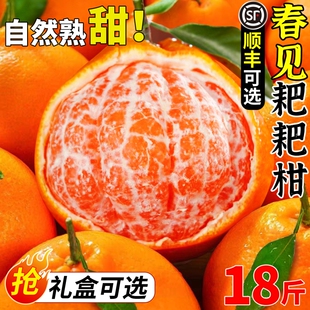 顺丰礼盒正宗四川春见耙耙柑18斤装大果新鲜水果当季现摘丑桔橘子