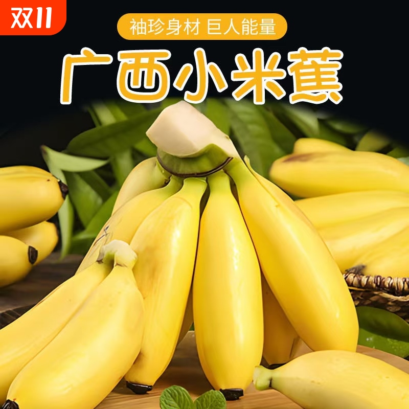 广西小米蕉正宗当季水果新鲜自然熟整箱苹果蕉香蕉芭蕉包邮现摘