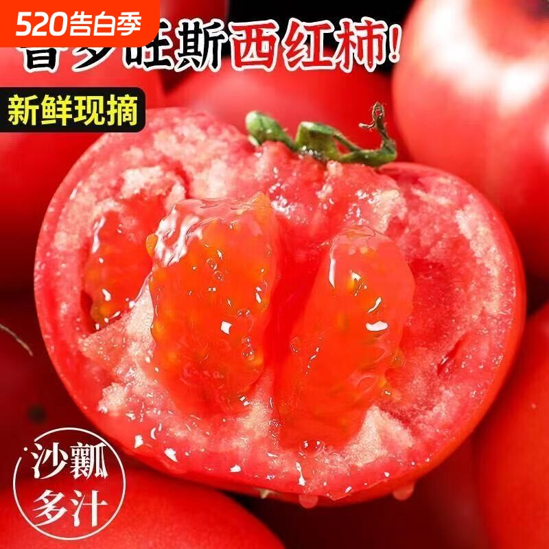 正宗普罗旺斯西红柿自然熟新鲜沙瓤粉柿子大番茄当季蔬菜现发现摘