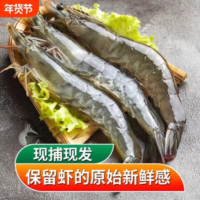 厄瓜多尔盐冻大虾速冻南美皇冠白虾基围虾3040海虾水产冷冻对虾