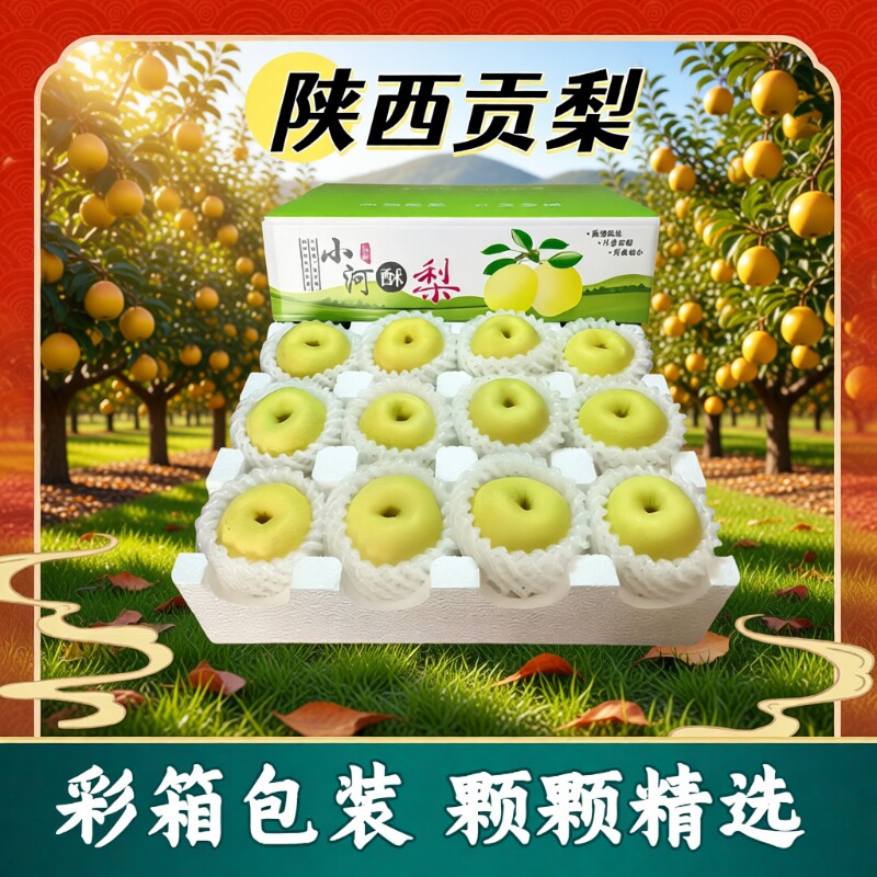 陕西水蜜梨精选百年老树品种当季酥梨水果应季贡梨新鲜水果梨子